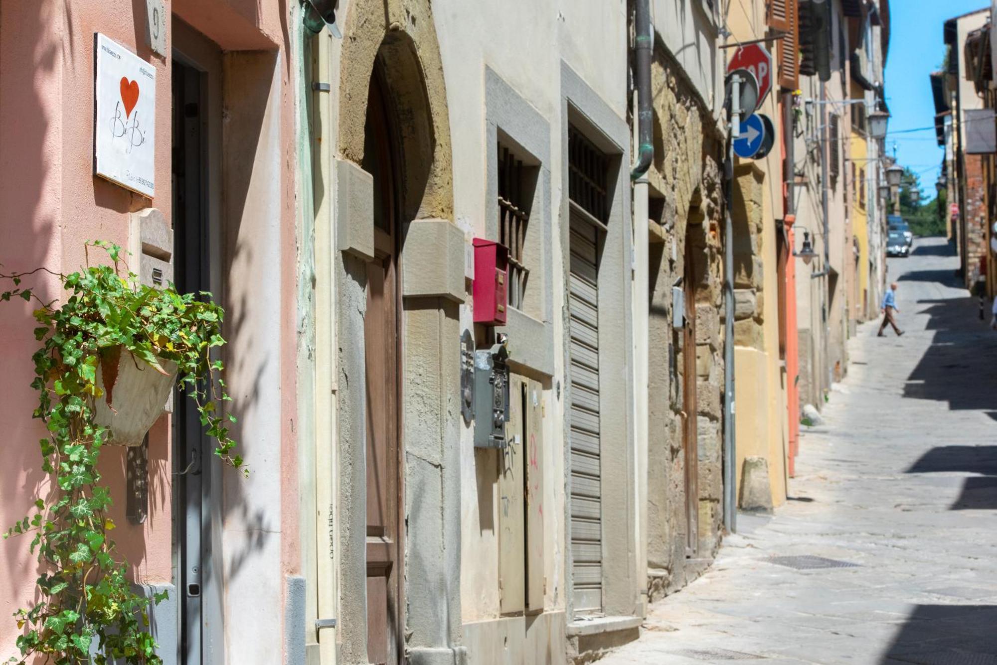 Bibi Boutique Arezzo Living Suite Rosafragola & Verdeconiglio Luaran gambar